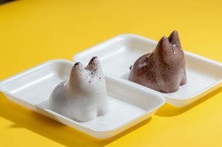 Котопудинг кокосовый (120 г)