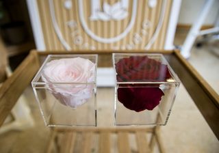 Rosas Preservadas En Caja Metraquilato (21 Cms Aprox)