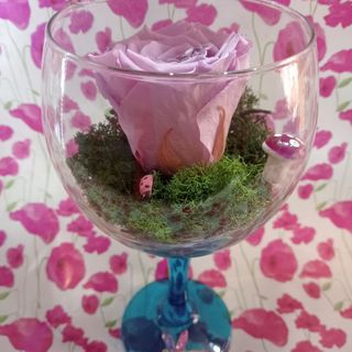 Copa rosa eterna Lilia claro