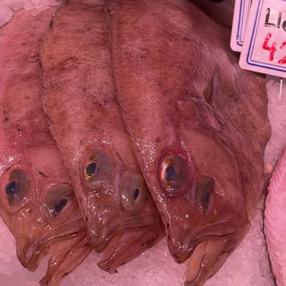 Gallo en Filetes (300-400gr)