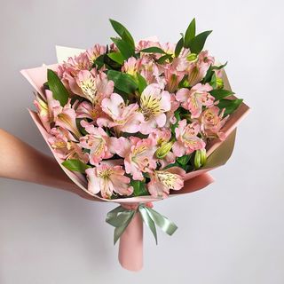 ვარდისფერი ალსტრომერიები 2004