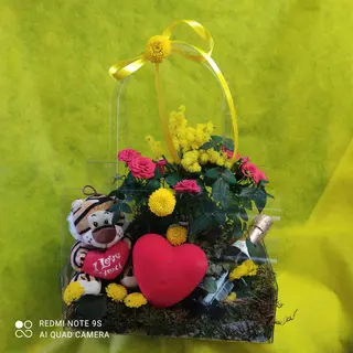 Borsa con mimosa + piantina, pupazzo e spumante 