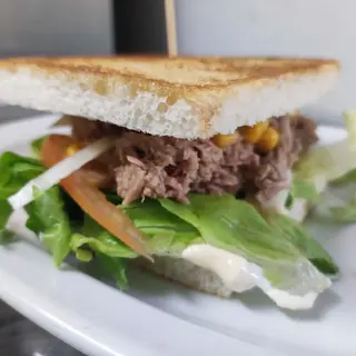Sándwich especial