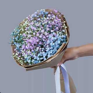 Bukiet kolorowej gipsówki 