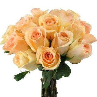 Bouquet de 10 Roses Pêche 