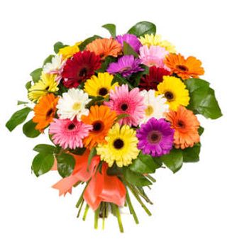Bouquet di gerbere miste 
