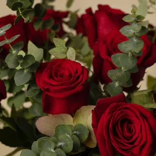 Ramo 6 rosas rojas