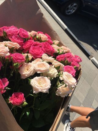 თეთრი და ვარდისფერი სფრეი ვარდები 