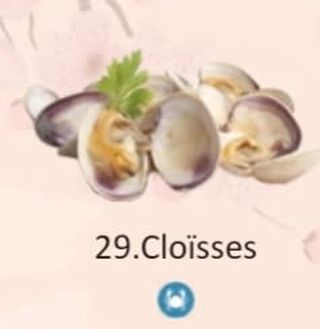 29. Cloïsses Aalmeja