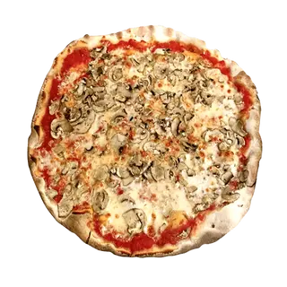 Funghi porcini