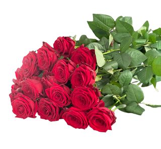 Róża DŁUGA 80 cm 9szt