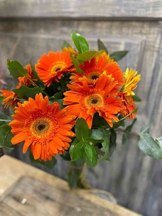 Ramo De Gerberas Del Color Del Momento