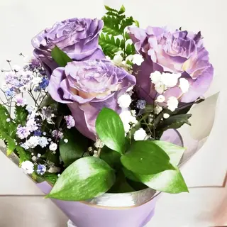3 Rosas malvas