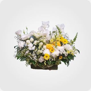 კომპოზიცია ყუთში N 3