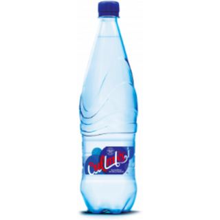  EAU GAZEUSE 1L   