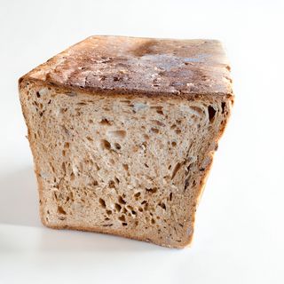 Toast multiseed