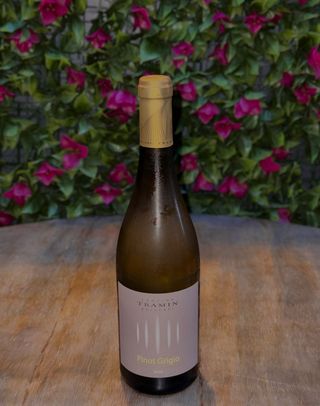 Tramin Pinot grigio