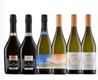 Vermentino, Pinot, Chardonnay, falanghina delle migliori cantine