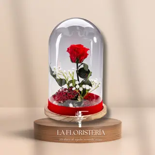 Cúpula rosa eterna con topping