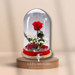 Cúpula rosa eterna con topping