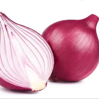 Cipolla