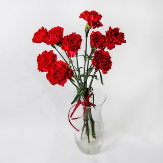 Bukiet z goździków 