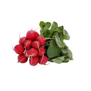 Rzodkiewka - 1 Szt