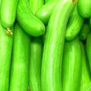 Კიტრი Შუშა 0,5-0,6კგ