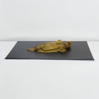 Pimientos fritos (8 uds.)