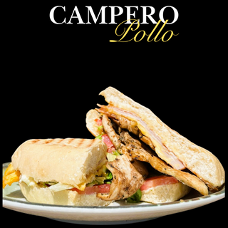 Campero de pollo