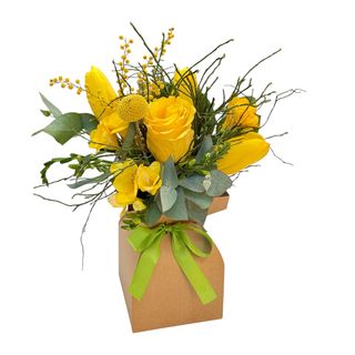 Magie galbena de Primavara