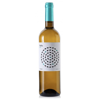 Mesta Blanco