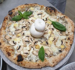 Pizza Tartufi e funghi