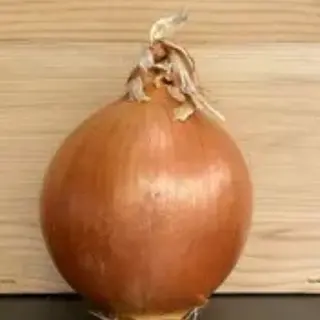 Cipolle dorate al kg