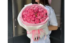 Róża Silva Pink 15 szt