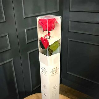 Rosa Preservada Pasion Eterna En Caja Mediana
