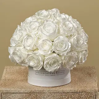 white luxury dial