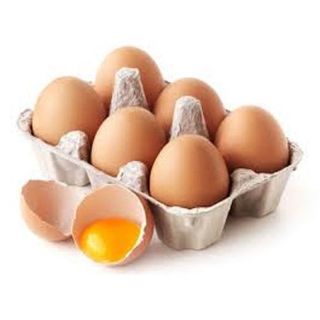 Plateau 15 Œufs Coqivoire 60G