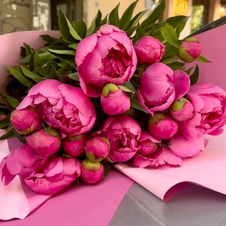 "Even the peonies blushed in silence." (L)