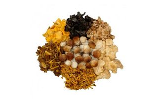 Mix de setas tarrina 400gr