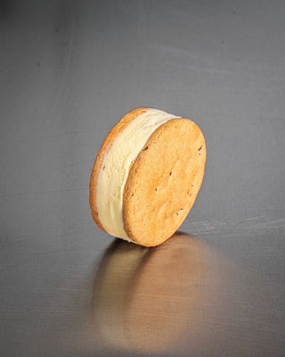 Biscotto Gelato Piccolo alla Crema