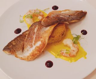 Filet brancina na kremi od limuna sa kozicama