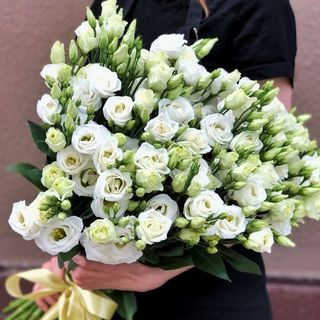 Еустоми білі (поштучно)