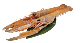 191. Cigalas A La Plancha (6 Pzs.)