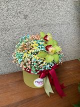 გიფსოფილა და ორქიდეა