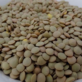 Lentejas estofadas con verduras y escalope de foie fresco