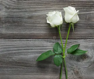 Ramo De 2 Rosas Blancas