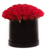 În ritmul dragostei