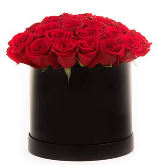 În ritmul dragostei