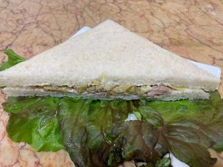 Tramezziono con tonno carciofini e maionese